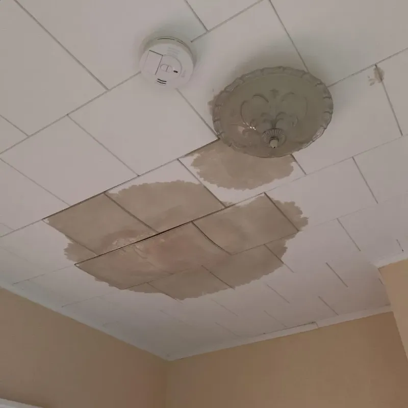 Ceiling Water Damage Repair in East Gaffney, SC