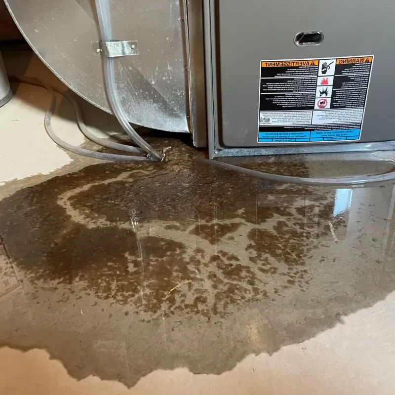 Pipe Burst and Leak Restoration in East Gaffney, SC
